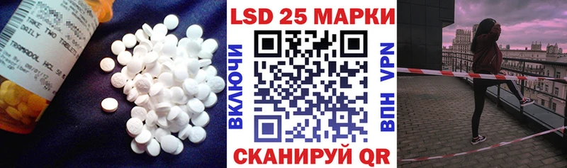 Лсд 25 экстази ecstasy  Шарья 