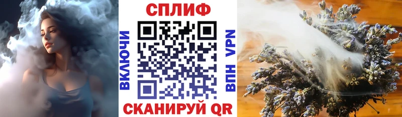 Конопля гибрид  Шарья 